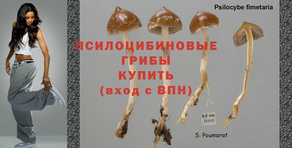 ПСИЛОЦИБИНОВЫЕ ГРИБЫ Елабуга