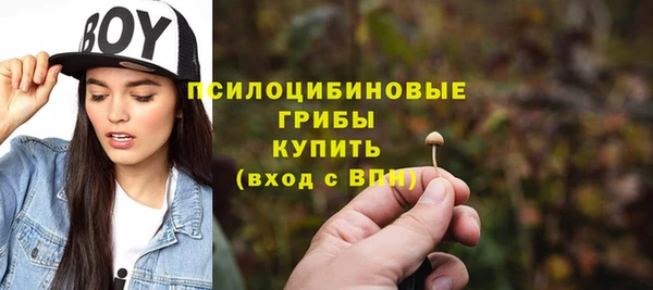 кокс Ельня