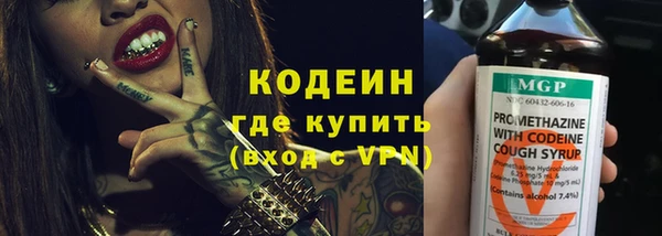 кокс Ельня