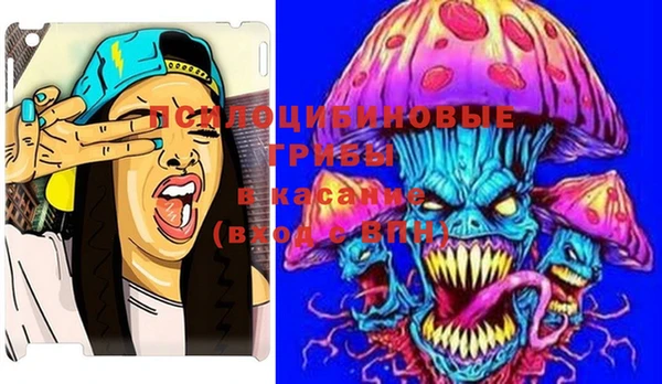 MESCALINE Елизово