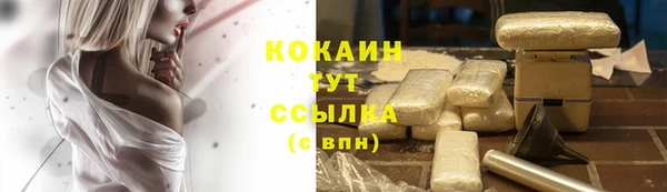MESCALINE Елизово