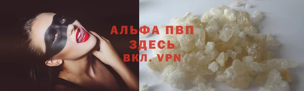 кокс Ельня