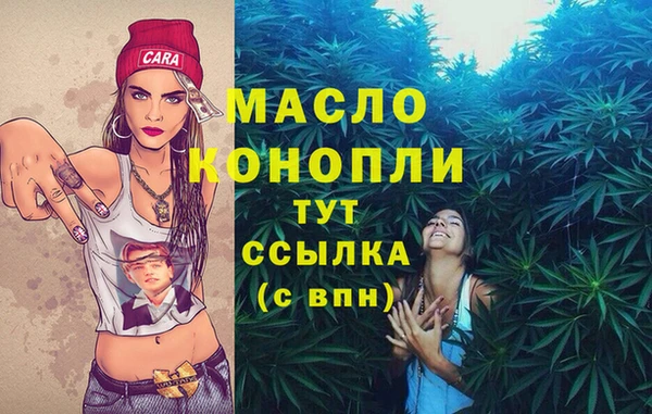 кокс Ельня