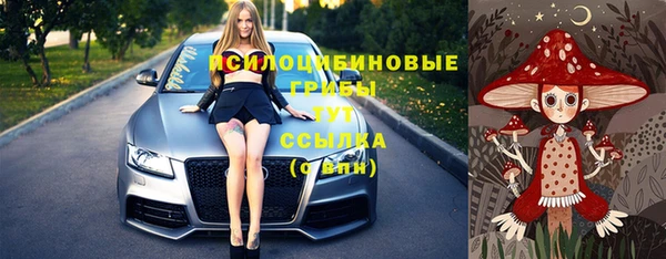 MESCALINE Елизово